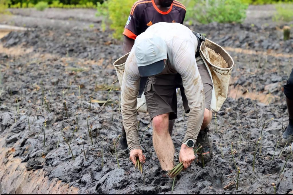 Guinness World record holder to plant 40,000 trees in Mombasa