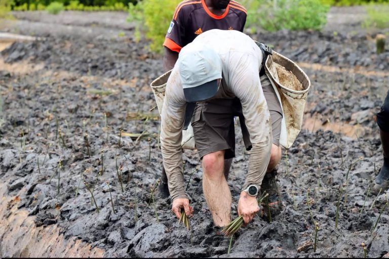 Guinness World record holder to plant 40,000 trees in Mombasa