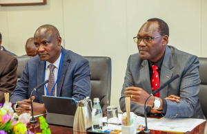 Remittance flows, oil prices new worries in Kenya’s IMF kitty push