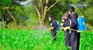 Pesticide regulator now raises alarm over surge in online sales