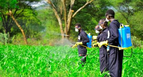 Pesticide regulator now raises alarm over surge in online sales