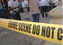 Vihiga bee attack turns fatal as woman dies, another fights for life