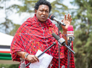 Olekina: I have what it takes to be ODM Secretary General