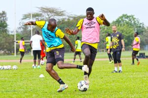 Mette’s Tusker turning the corner with Kapaito at the core