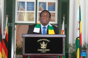 Plan to scrap presidential elections puts Zimbabweans at loggerheads