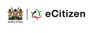 Treasury proposes doubling eCitizen service fees to Sh100