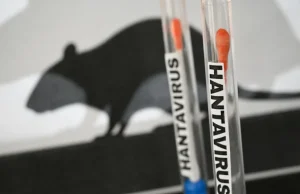 WHO tracing over 80 people on flight taken by hantavirus victim
