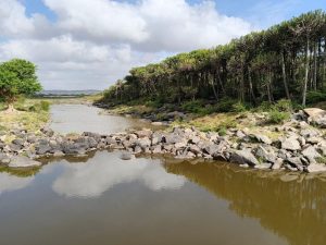 Two bodies retrieved after drowning in River Athi