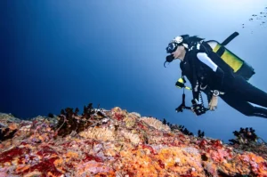 Five Italians die in Maldives diving incident