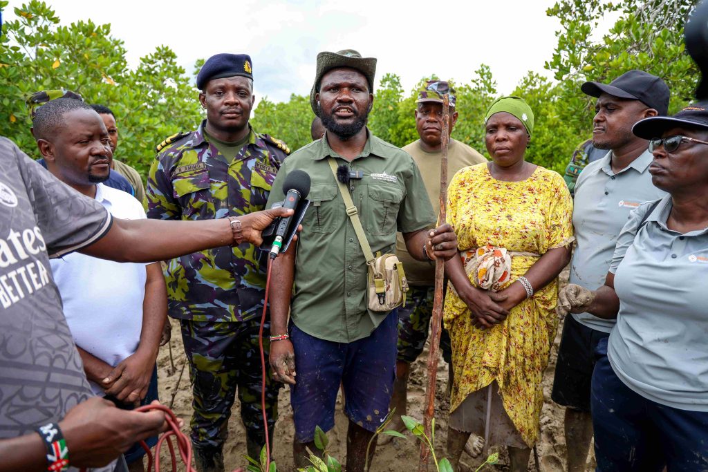 Kenya Navy steps up mangrove restoration
