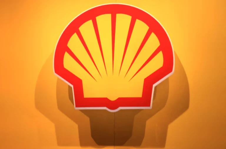 Shell clashes with climate activists in Dutch Supreme Court