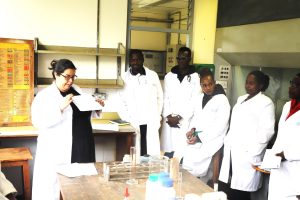 New soil mapping skills set to improve farm decisions