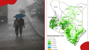 Kenya Met Announces Counties in 4 Regions to Receive Heavy Rainfall on Labour Day