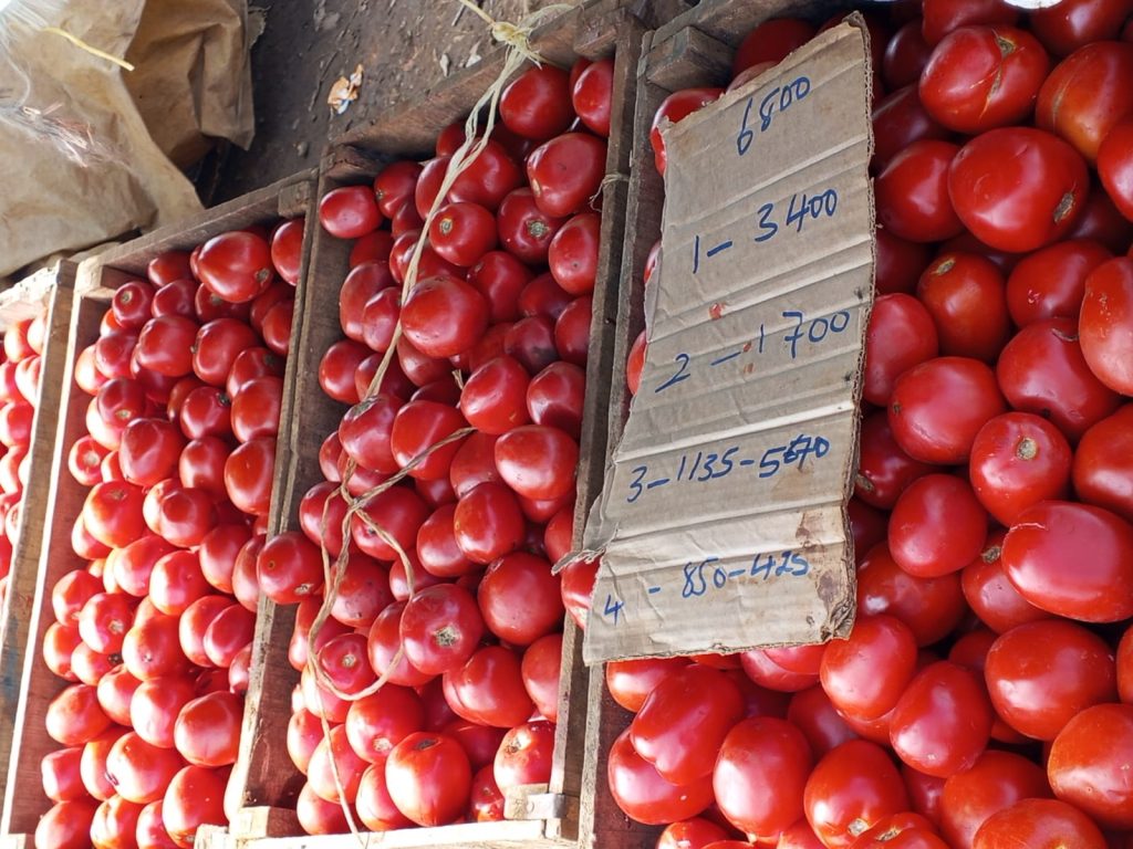 Heavy rains push tomato prices through the roof in Kisumu