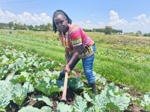 From social work to soil: How young farmers in Siaya are turning agriculture into a lifeline