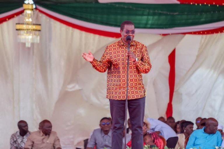 Fuel prices would be higher without state role – Wandayi
