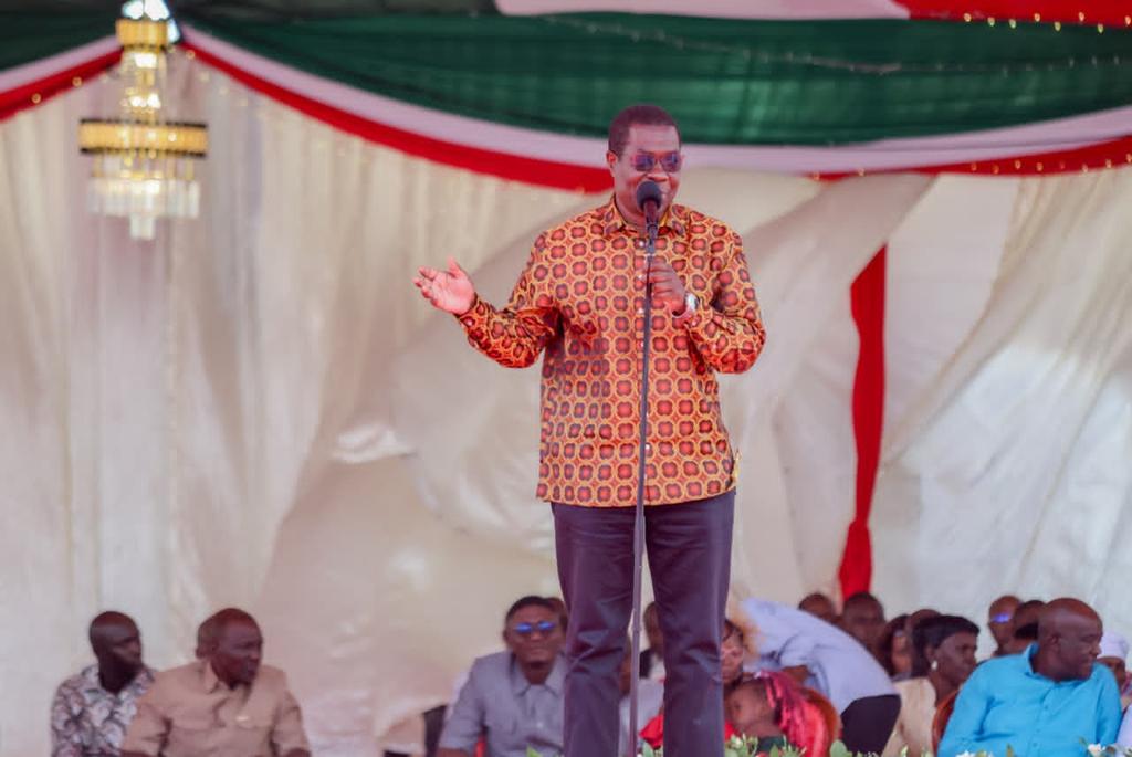 Fuel prices would be higher without state role – Wandayi