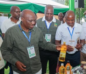 Government intensifies efforts to boost local production of edible oil crops