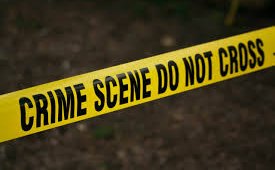 Suspected thugs steal Sh1.2 million from car park at Ruiru apartment