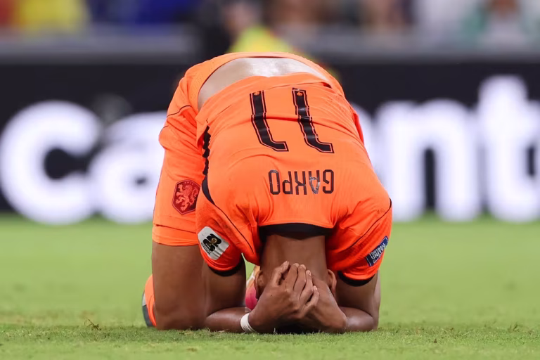 Morocco hit spot to knock out Netherlands