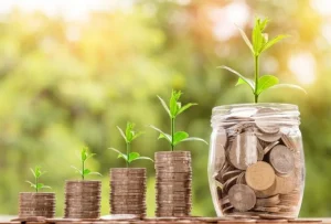Starting your wealth building journey? Here is what you need to know