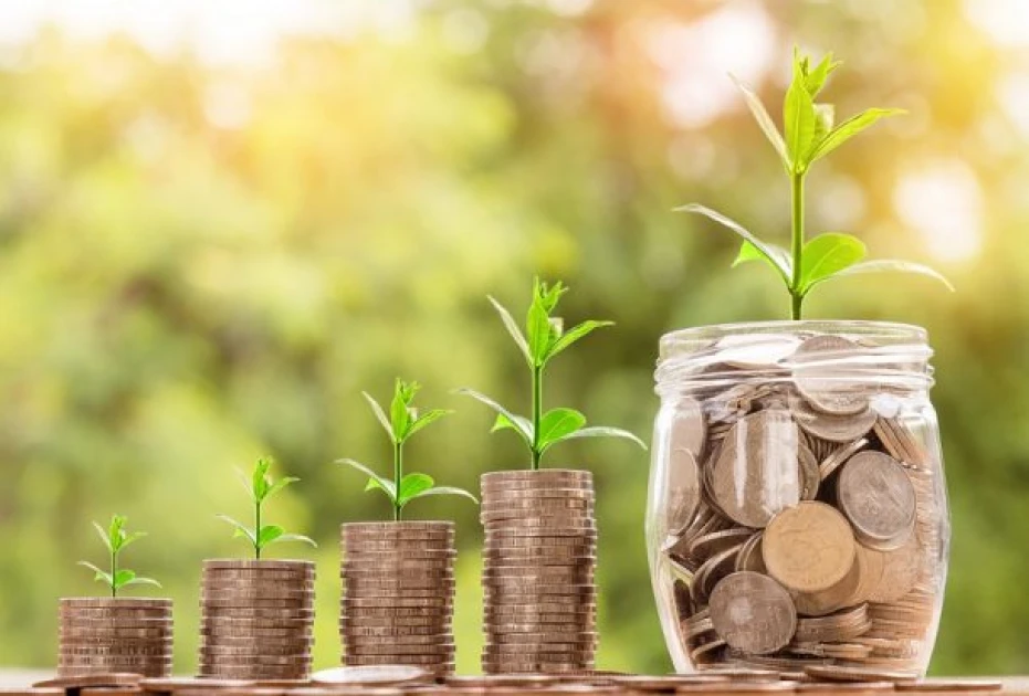 Starting your wealth building journey? Here is what you need to know