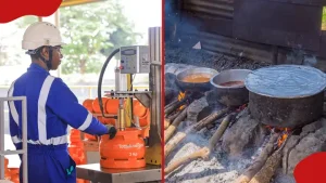 From Smoke to Clean Cooking: Kenya’s Journey Towards Healthier Kitchen Solutions