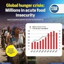 4.1 million Kenyans facing hunger as Africa becomes world’s hungriest region, UN report says