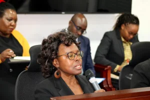 Lobby groups in fresh push to freeze Kenya’s borrowing for two years