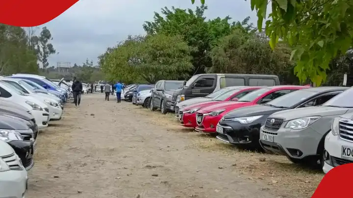 MOGO Ltd Announces Auction of 36 Cars, Offers Cheapest Model at KSh 158k