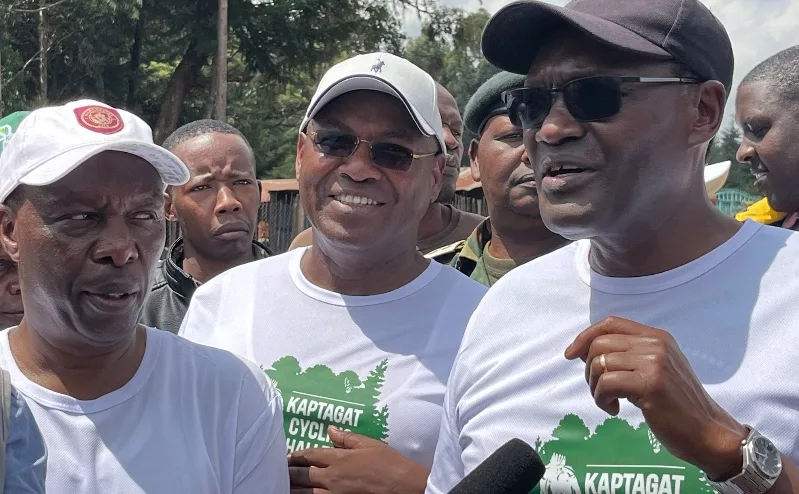 Tree planting campaign breathes new life into Kaptagat Forest