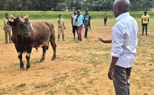 Bullfighting fraternity divided over enthusiast’s final honour