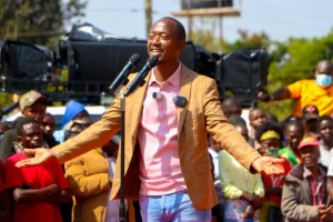 Kawaya dismisses opposition’s online plan to pick flagbearer