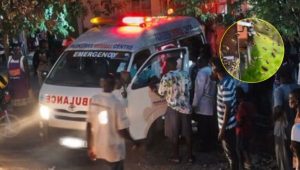 Relief as 16 pupils stung by bees are stabilised