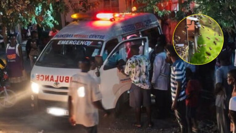 Relief as 16 pupils stung by bees are stabilised