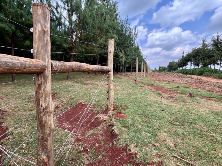 Kaptagat residents welcome forest fencing, cite conservation, tourism and livelihood benefits