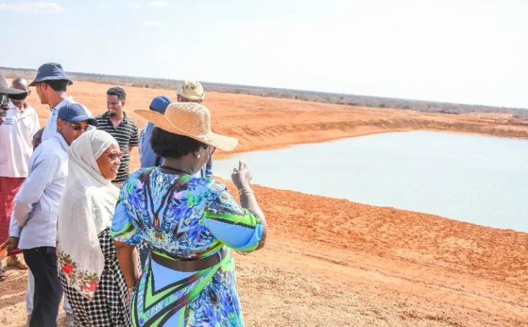 New Sh190 million dams bring hope to drought-hit Tana River communities