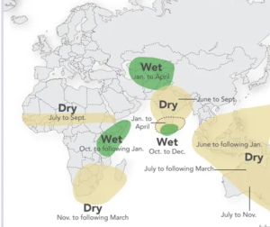 Kenya eyes Sh13bn UN El Niño lifeline