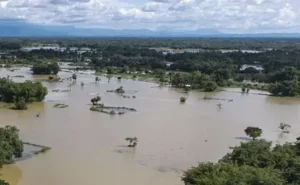 ‘It took everything from us’: India’s Assam faces worst floods in years