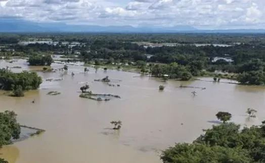 ‘It took everything from us’: India’s Assam faces worst floods in years