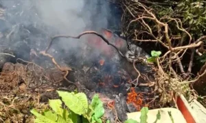 Home of South Florida couple killed in Samburu helicopter crash broken into, robbed