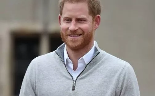 Prince Harry steps down from African wildlife charity board