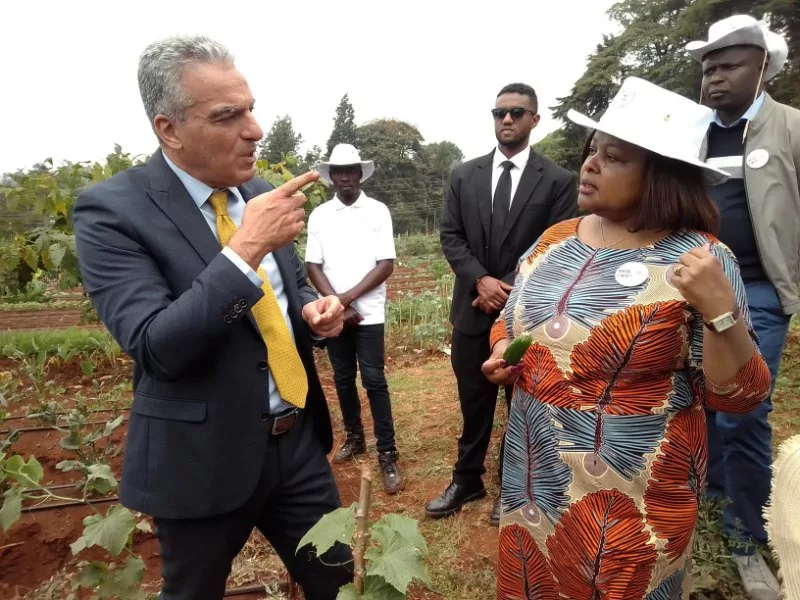 Climate smart agriculture turns dry Mbeere into thriving farms