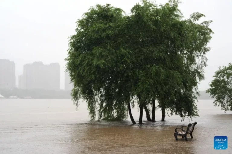 El Niño set to be ‘strongest in living memory’, says Met Office