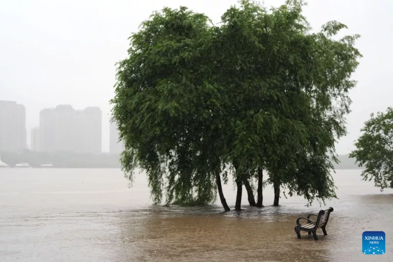 El Niño set to be ‘strongest in living memory’, says Met Office