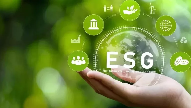 Company directors face legal risk for ignoring nature threats – report