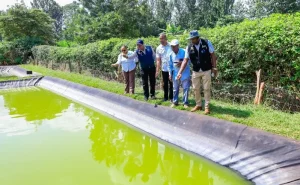 Kirinyaga fish farming gains momentum as production rises