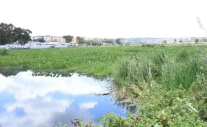 Encroachers of riparian land put on notice as plans to fix Nairobi Dam gain momentum
