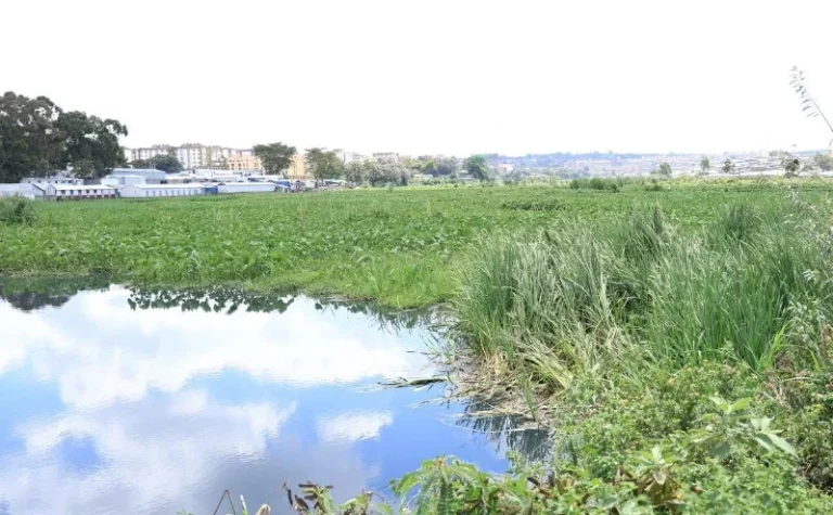 Encroachers of riparian land put on notice as plans to fix Nairobi Dam gain momentum