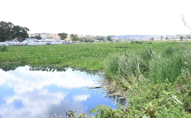 Encroachers of riparian land put on notice as plans to fix Nairobi Dam gain momentum
